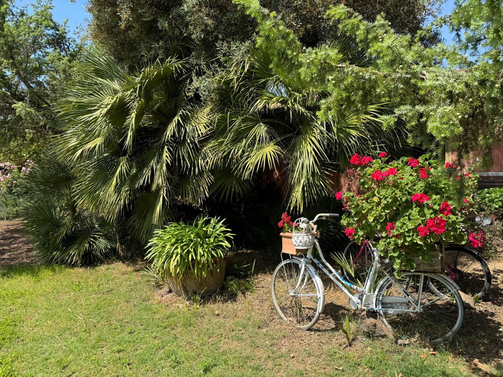 L'Orto Villa San Vero Milis Buitenkant foto